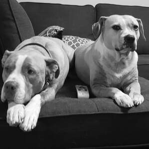 Fundraising Page: MARY DZIEDZINSKI